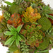 8.5" Mixed Artificial Succulent & Moss Ball -Green/Burgundy (Pack of 2) - J161273