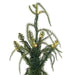 4'6"Hx26"W PE Norfolk Pine Artificial Christmas Tree, Micro LED Pre-Lit (Multi-Mode) -Green - JK255048LEDCC