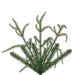 6'6"Hx33"W PE Norfolk Pine Artificial Christmas Tree, Unlit -Green - JK255060