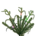 6'6"Hx33"W PE Norfolk Pine Artificial Christmas Tree, Micro LED Pre-Lit (Multi-Mode) -Green - JK255063LEDCC