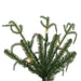 7'6"Hx37"W PE Norfolk Pine Artificial Christmas Tree, Micro LED Pre-Lit (Multi-Mode) -Green - JK255078LEDCC