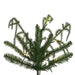 9'Hx41"W PE Norfolk Pine Artificial Christmas Tree, Micro LED Pre-Lit (Multi-Mode) -Green - JK255083LEDCC