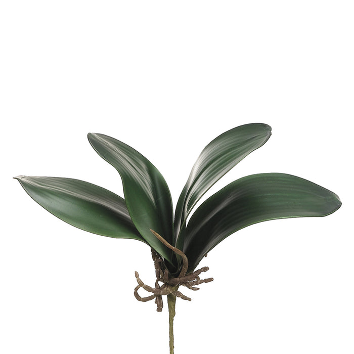 12" Silk Phalaenopsis Orchid Leaf Plant Stem -Green (pack of 12) - JOL951-GR