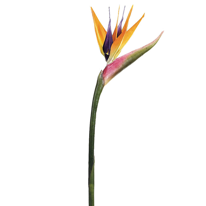 37" Handwrapped Bird Of Paradise Silk Flower Stem -Natural (pack of 6) - JTB718-NA