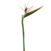 37" Handwrapped Bird Of Paradise Silk Flower Stem -White/Green (pack of 6) - JTB718-WH/GR