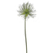 31" Silk Cyperus Bloom Grass Stem -Green (pack of 12) - JTC991-GR