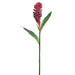 40" Hand-Wrapped Silk Ginger Flower Spray -Red (Pack of 6) - JTG136-RE