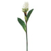 40" Hand-Wrapped Silk Ginger Flower Spray -White (Pack of 6) - JTG136-WH