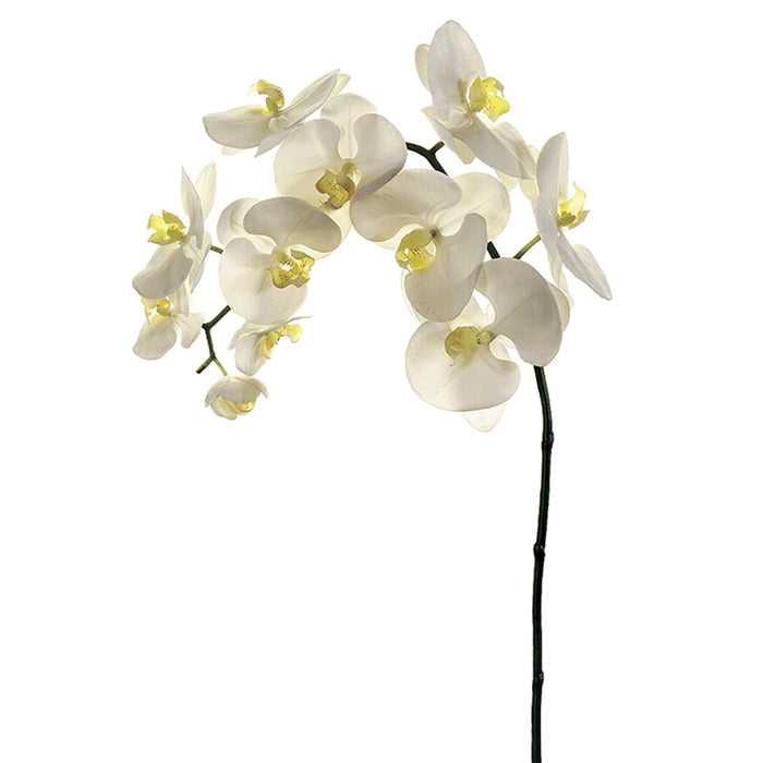 38" Handwrapped Silk Phalaenopsis Orchid Flower Spray -Cream/Yellow (pack of 4) - JTO179-CR/YE