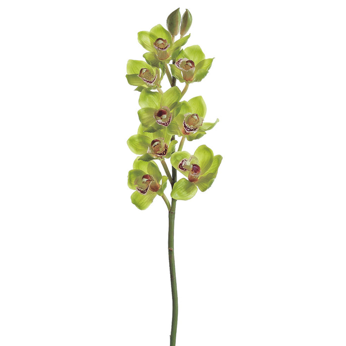 28" Hand-Wrapped Silk Cymbidium Orchid Flower Spray -Green/Burgundy (Pack of 6) - JTO182-GR/BU