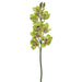 28" Hand-Wrapped Silk Cymbidium Orchid Flower Spray -Green/Burgundy (Pack of 6) - JTO182-GR/BU