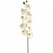 53" Hand-Wrapped Silk Phalaenopsis Orchid Flower Spray -Cream/Green (Pack of 4) - JTO812-CR/GR