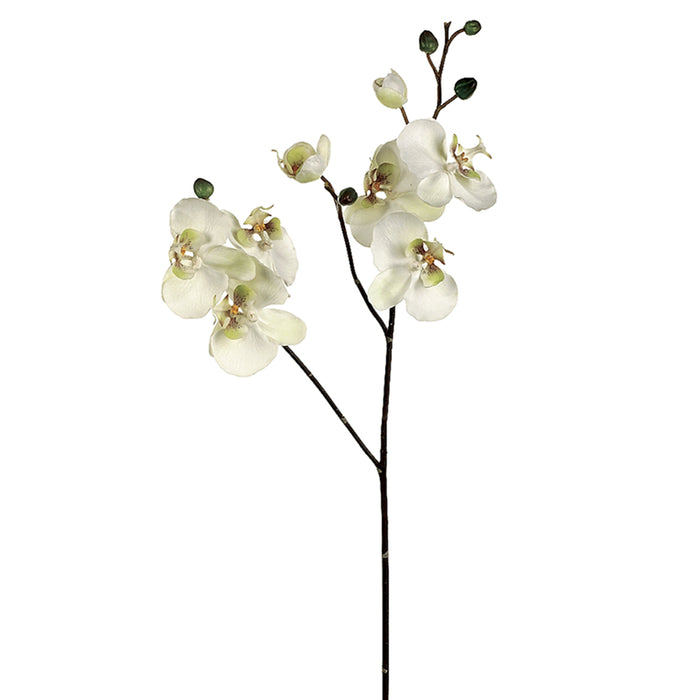 30.5" Handwrapped Silk Phalaenopsis Orchid Flower Spray -Cream/Green (pack of 6) - JTO822-CR/GR