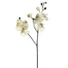 30.5" Handwrapped Silk Phalaenopsis Orchid Flower Spray -Cream/Green (pack of 6) - JTO822-CR/GR