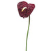 26" Handwrapped Silk Small Anthurium Flower Spray -Red (pack of 12) - JYA280-RE