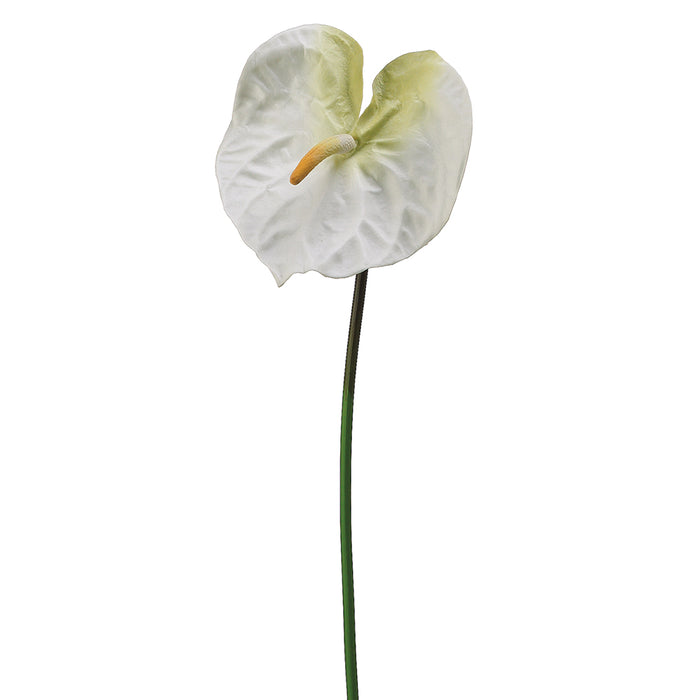 silk anthurium flowers 27" Hand-Wrapped Silk Large Anthurium Flower Spray -Cream/White (Pack of 12)