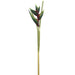 34" Handwrapped Hawaiian Heliconia Silk Flower Stem -Green/Burgundy (pack of 6) - JYH754-GR/BU
