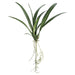 24" Silk Oncidium Orchid Leaf Plant Stem -Green (pack of 12) - JYL803-GR