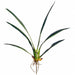32" Hand-Wrapped Silk Oncidium Orchid Leaf Plant Stem -Green (Pack of 12) - JYL820-GR