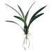 18" Hand-Wrapped Silk Dancing Orchid Leaf Plant Stem -Green (Pack of 12) - JYL822-GR