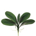 18" Silk Phalaenopsis Orchid Leaf Plant Stem -Green (pack of 12) - JYL920-GR