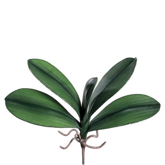 10.5" Silk Medium Phalaenopsis Orchid Leaf Plant Stem -Green (pack of 12) - JYL953-
