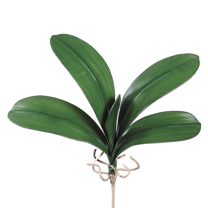 22" Silk Large Phalaenopsis Orchid Leaf Plant Stem -Green (pack of 12) - JYL955-