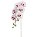 36" Hand-Wrapped Silk Large Phalaenopsis Orchid Flower Spray -Cream/Mauve (Pack of 6) - JYO783-CR/MV