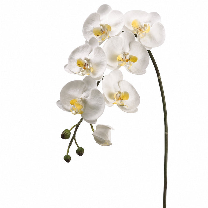 36" Hand-Wrapped Silk Large Phalaenopsis Orchid Flower Spray -White/Yellow (Pack of 6) - JYO783-WH/YE