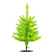 2'Hx20"W Fir Artificial Christmas Tree, LED Pre-Lit (Lime) -Lime - K162621LED