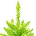 2'Hx20"W Fir Artificial Christmas Tree, LED Pre-Lit (Lime) -Lime - K162621LED