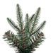 4'6"Hx23"W PE Pencil Bixley Fir Artificial Christmas Tree, Unlit -Green - K167345