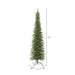 5'6"Hx25"W PE Pencil Bixley Fir Artificial Christmas Tree, Unlit -Green - K167355