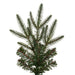 7'6"Hx30"W PE Pencil Bixley Fir Artificial Christmas Tree, Unlit -Green - K167375