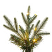 10'Hx44"W PE Pencil Bixley Fir Artificial Christmas Tree, Micro LED Pre-Lit (Multi-Mode) -Green - K167388LEDCC