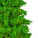 4'6"Hx24"W Flocked Slim Fir Artificial Christmas Tree, Unlit -Lime - K168547