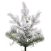 6'6"Hx39"W PE Flocked Slim Kiana Artificial Christmas Tree, Micro LED Pre-Lit -White - K173266LED
