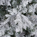 7'6"Hx60"W PE Flocked Kiana Artificial Christmas Tree, Micro LED Pre-Lit -White - K173476LED