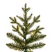 10'Hx63"W PE Slim Kamas Fraser Fir Artificial Christmas Tree, Micro LED Pre-Lit (Multi-Mode) -White/Green - K184188LEDCC