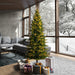 6'6"Hx40"W PE Slim Balsam Spruce Artificial Christmas Tree, Micro LED Pre-Lit (Multi-Mode) -Green - K186268LEDCC