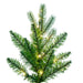 4'6"Hx30"W PE Slim Balsam Spruce Artificial Christmas Tree, Micro LED Pre-Lit -Green - K186246LED