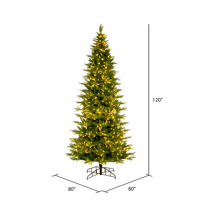 10'Hx56"W PE Slim Balsam Spruce Artificial Christmas Tree, Micro LED Pre-Lit (Multi-Mode) -Green - K186288LEDCC