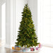 10'Hx63"W PE Brighton Pine Artificial Christmas Tree, LED Pre-Lit (Multi-Mode) -Green - K201286LEDCC