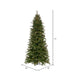 6'6"Hx40"W PE Slim Douglas Fir Artificial Christmas Tree, LED Pre-Lit -Green - K224066LED