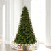 7'6"Hx56"W PE Douglas Fir Artificial Christmas Tree, Micro LED Pre-Lit -Green - K224178LED