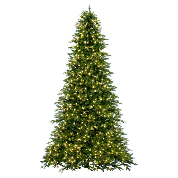 10'Hx72"W PE Douglas Fir Artificial Christmas Tree, LED Pre-Lit -Green - K224186LED