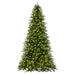 7'6"Hx56"W PE Douglas Fir Artificial Christmas Tree, LED Pre-Lit -Green - K224176LED