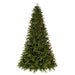 9'Hx66"W PE Douglas Fir Artificial Christmas Tree, Micro LED Pre-Lit -Green - K224183LED