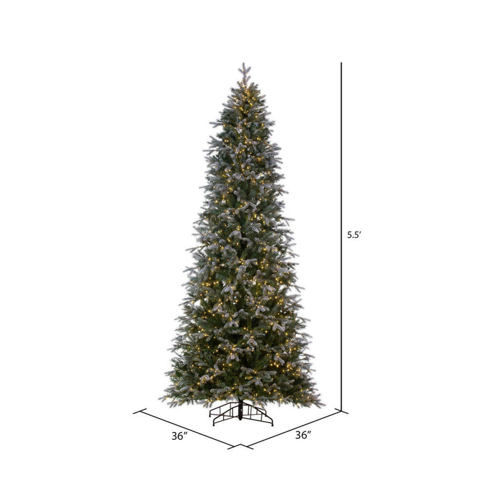 5'6"Hx36"W PE Frosted Slim Douglas Fir Artificial Christmas Tree, LED Pre-Lit -Green - K224556LED