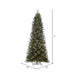 5'6"Hx36"W PE Frosted Slim Douglas Fir Artificial Christmas Tree, LED Pre-Lit -Green - K224556LED